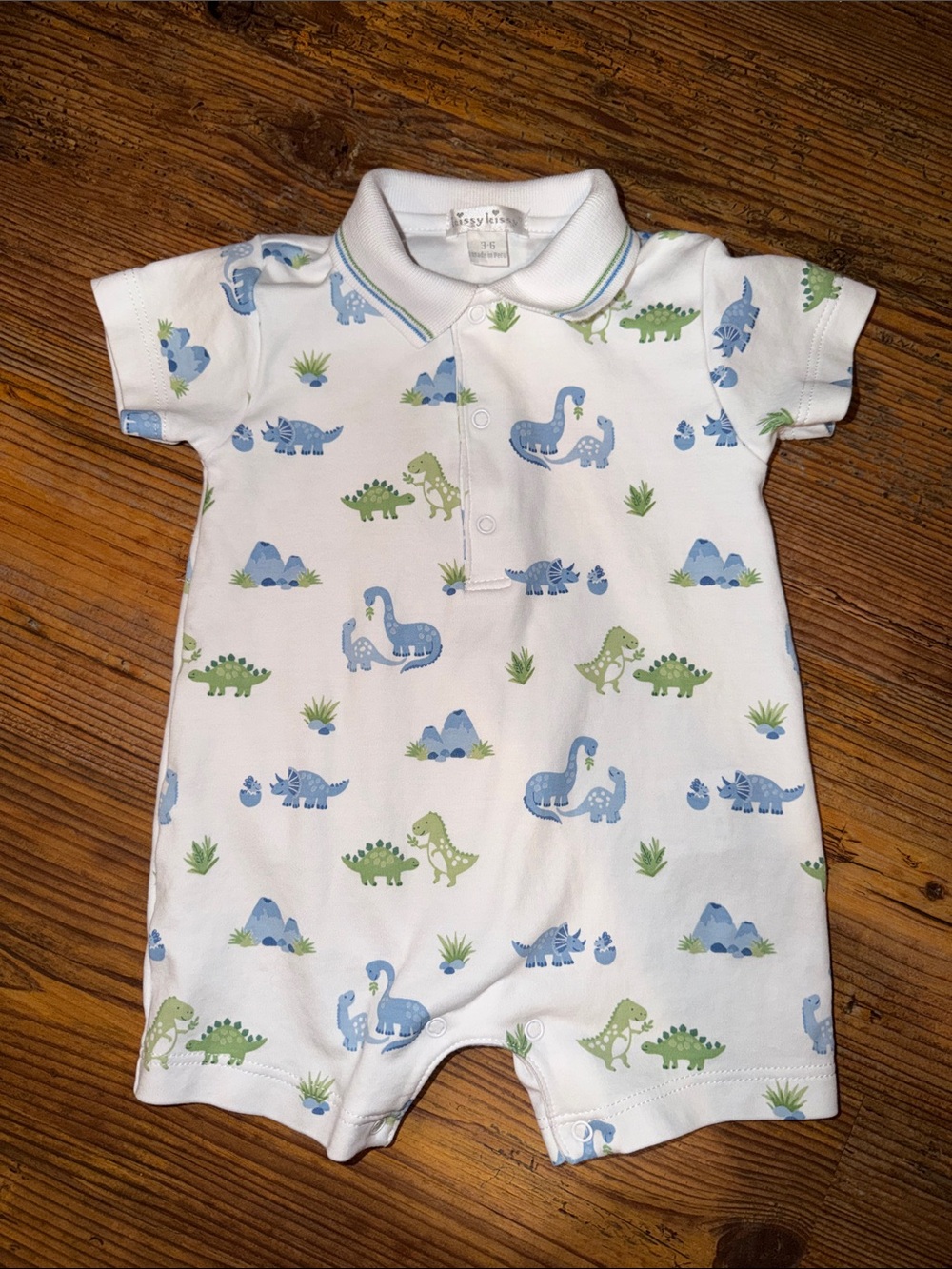 Kissy Kissy Dinosaur Romper